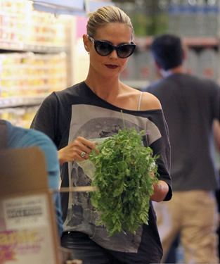 Celebrity Diet Heidi Klum Model Diet Weight Loss Celebrity Diets