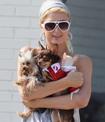 Celebrity diet: Paris Hilton with dog