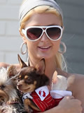 Celebrity diet: Paris Hilton