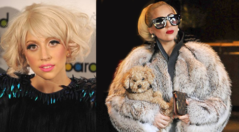Celebrity diet: Lady Gaga
